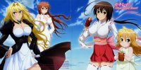 BUY NEW sekirei - 192815 Premium Anime Print Poster